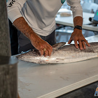 46th Annual Swansboro Rotary King Mackerel Five-O Tournament